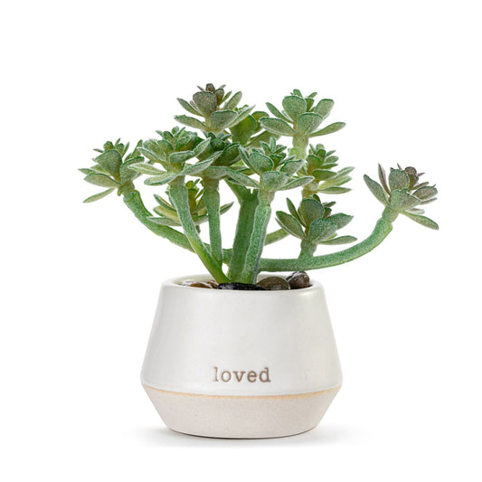 Demdaco Mini Succulent