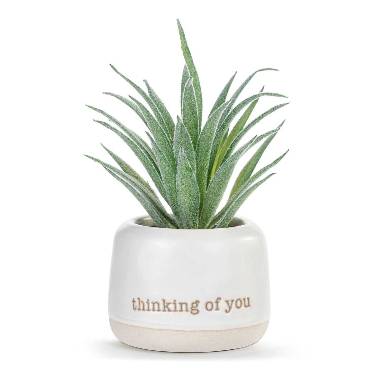 Demdaco Mini Succulent