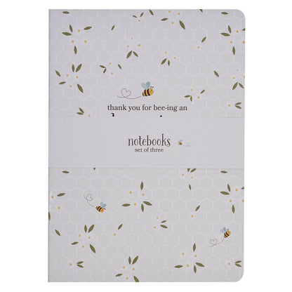 Notebook Set 3pc Amazing Teacher