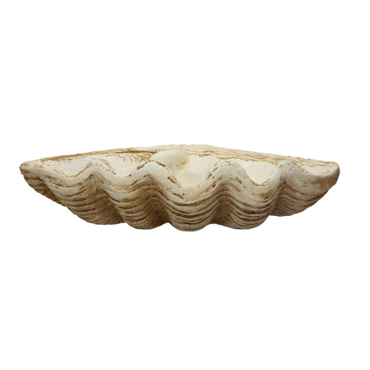 Lg Claimshell Decor