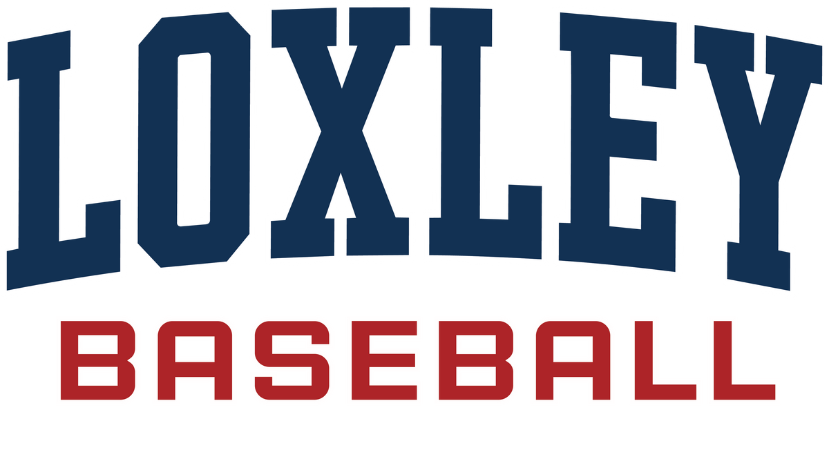 DTF Baseball Adult