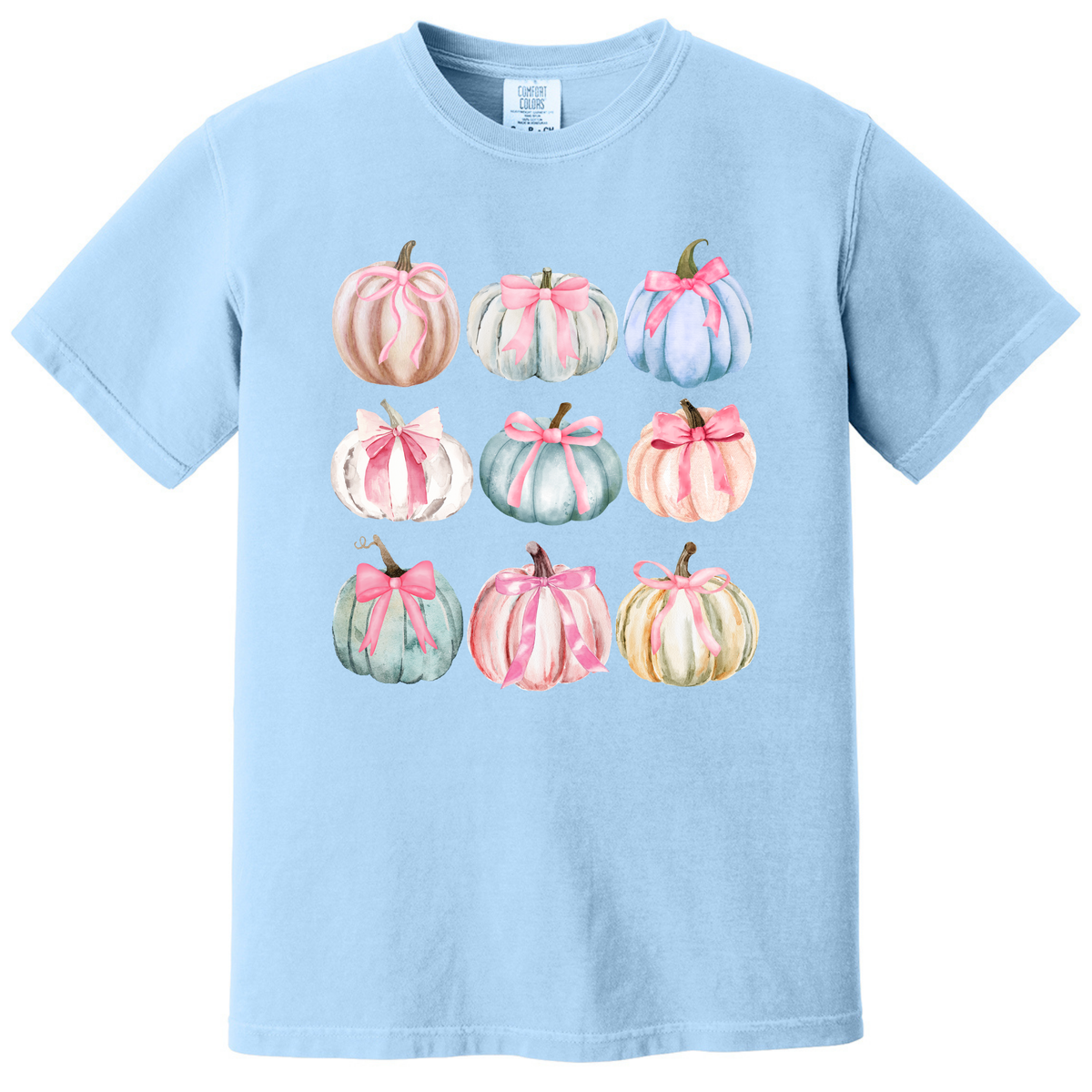 Preppy Pumpkin Coquette T-Shirt (CC)