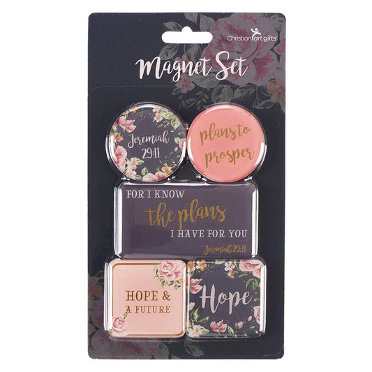 Magnet Set Plans to Prosper/Hope & a Future