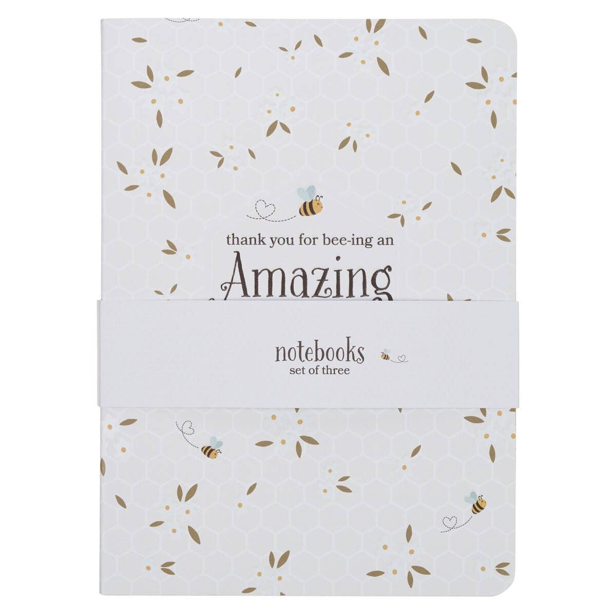 Notebook Set 3pc Amazing Teacher