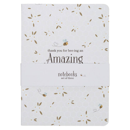 Notebook Set 3pc Amazing Teacher