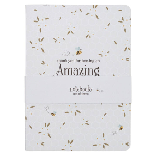 Notebook Set 3pc Amazing Teacher