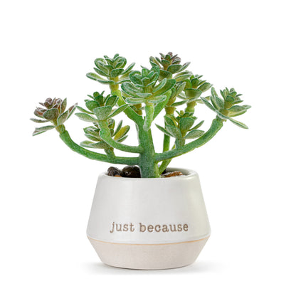 Demdaco Mini Succulent
