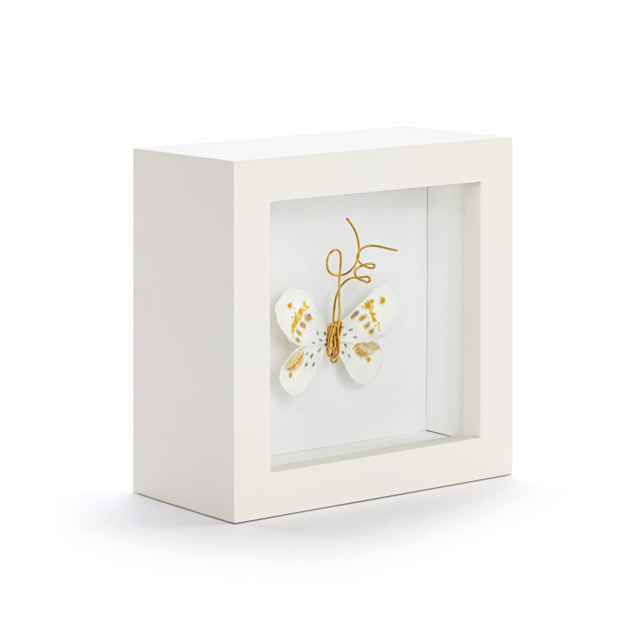 White Gold Butterfly Shadow Box