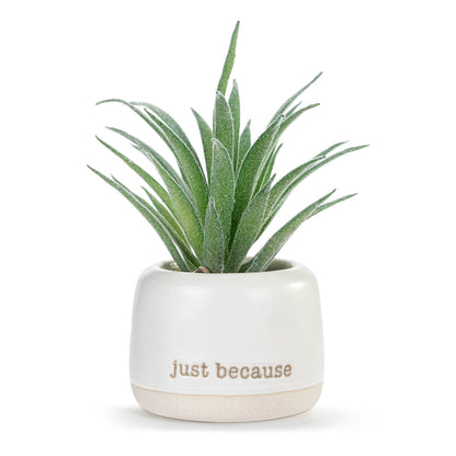 Demdaco Mini Succulent