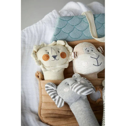 Noah's Ark with Squeakers Plush Toy Set